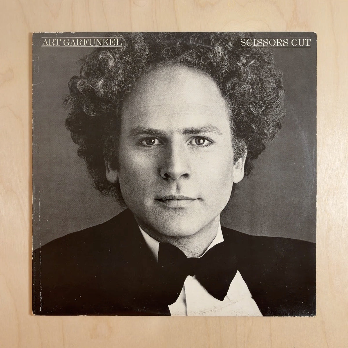 Art Garfunkel – Scissors Cut