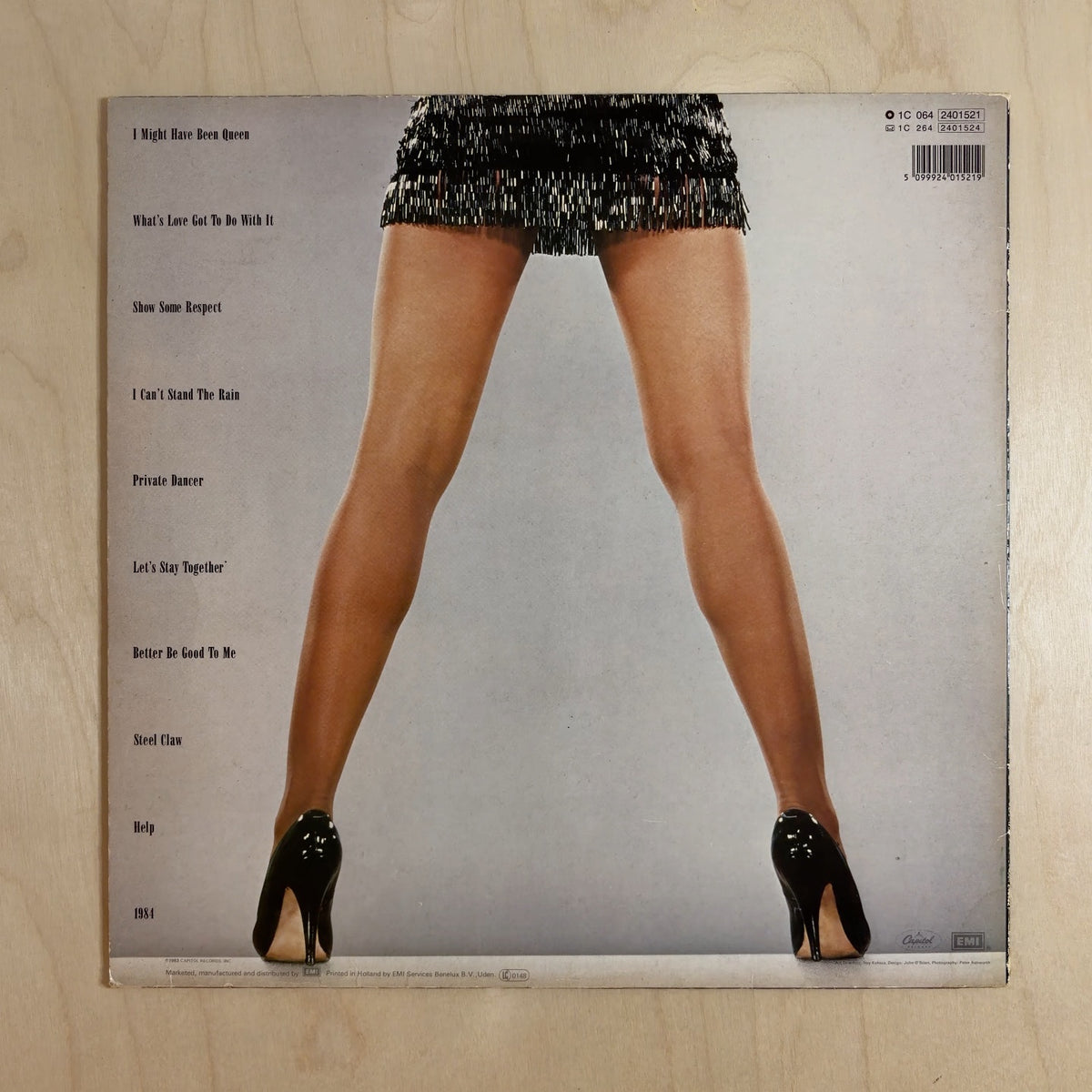 Tina Turner – Private Dancer