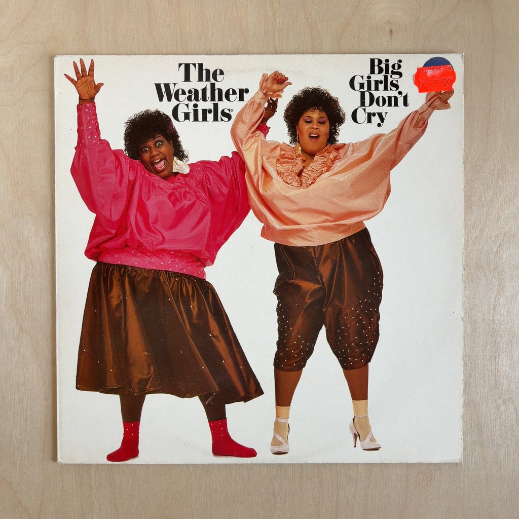 The Weather Girls – Big Girls Don't Cry – front cover